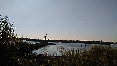 mjh-nl_11
